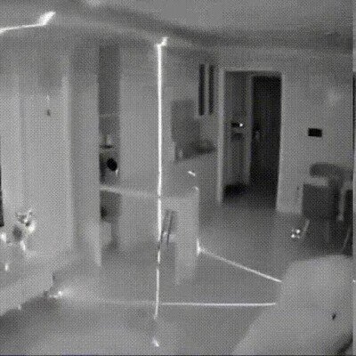 Enlace a Lo que hace tu gato cuando te vas de casa