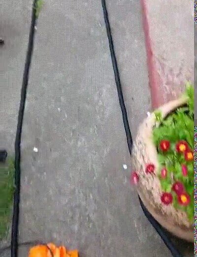 Enlace a Una manguera que parece una serpiente