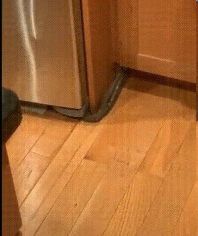 Enlace a Cuando escuchas un ruido en la cocina a la una de la mañana