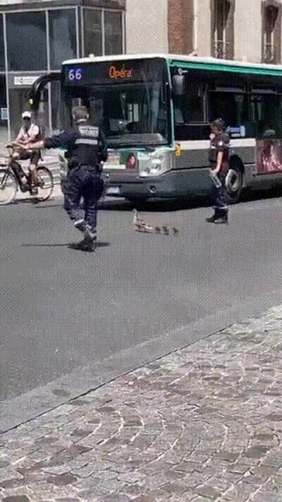 Enlace a Aún tengo fe en la humanidad