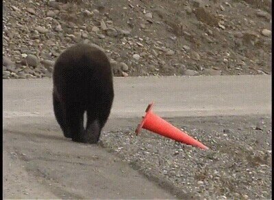 Enlace a Son más civilizados que nosotros