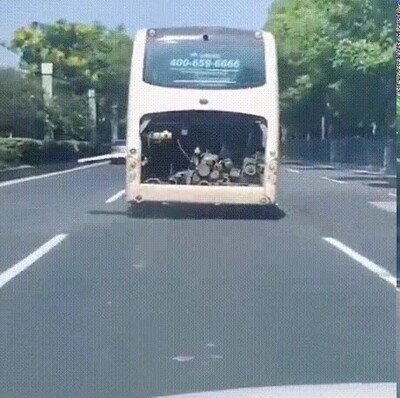 Enlace a ¿Qué está pasando en ese autobús?