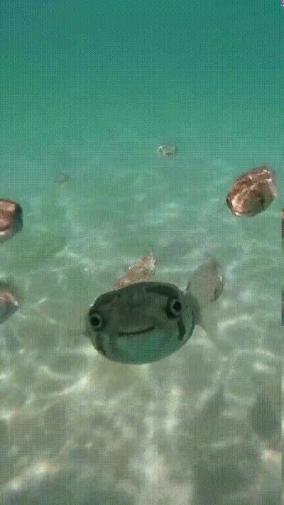 Enlace a Cuando te encuentras con gente tan rara como tú