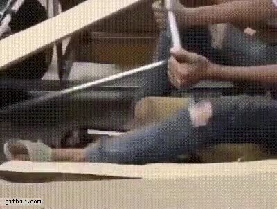 Enlace a Lamborghini de cartón, quien quiere, puede