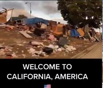 california,america,basura,porquería