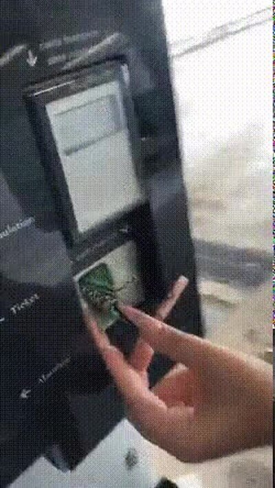 uñas,tarjeta,cajero
