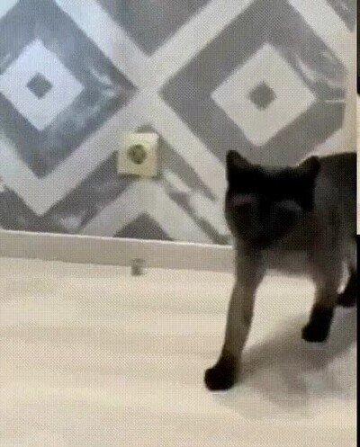 Enlace a Qué le ha pasado a mi amigo