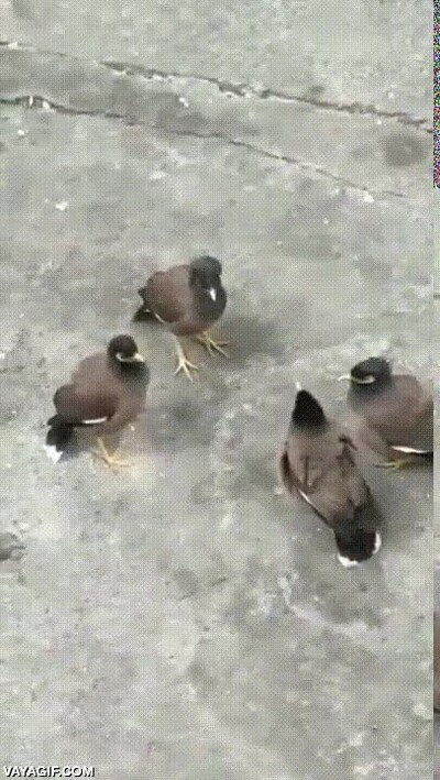 Enlace a Las mujeres mayores de mi pueblo cuando se pone el sol y salen a cotillear