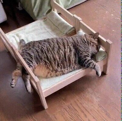 Enlace a Yo durante esta ola de calor