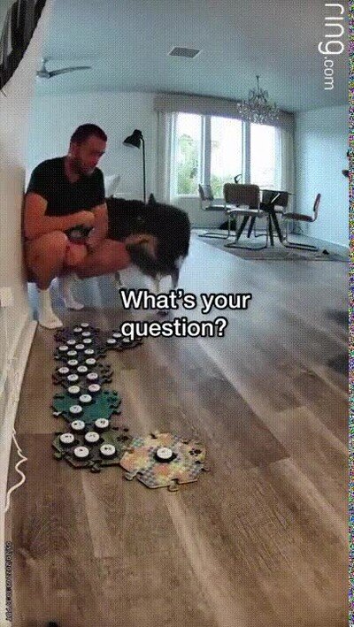 Enlace a Esto está reservado a genios