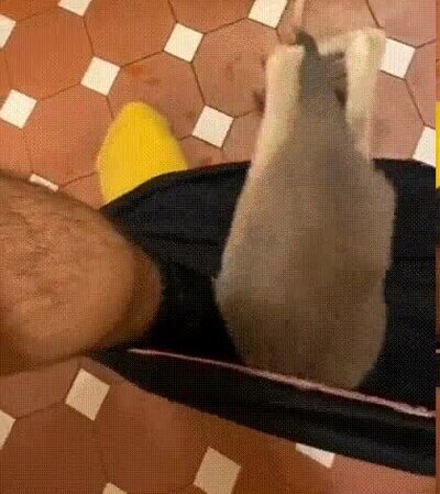 Enlace a Por este motivo no voy a usar WC's públicos en Autralia nunca más