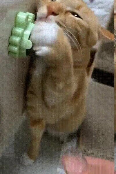 Enlace a Déjame humano, no te necesito