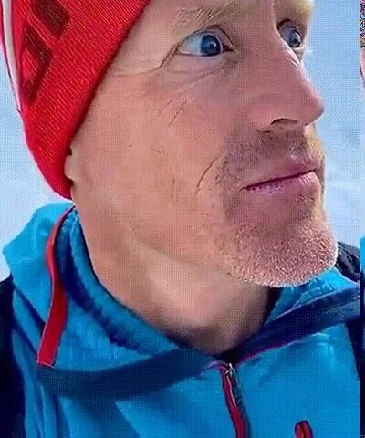 Enlace a Tu cara cuando finalmente ves lo que hay en el árbol