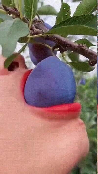 Enlace a Así habrían podido ganar a Thanos