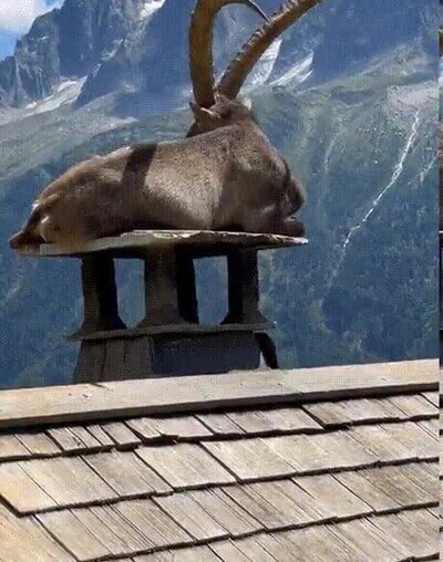 Enlace a Disfrutando de las vistas  en la montaña