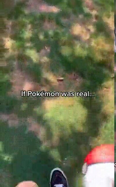 Enlace a Así sería Pokémon en la vida real