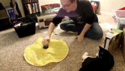 Enlace a El gato se queda flipando con el nuevo juguete