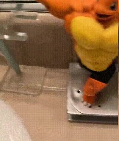 Enlace a Los Pokémon más fabulosos están en mi baño