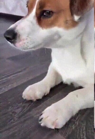 Enlace a Vamos acércate más si te atreves