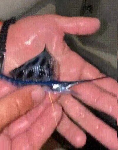 Enlace a Pezqueñines no gracias, debes dejarlos crecer