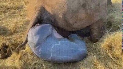 Enlace a Con todos vosotros: la magia de la vida