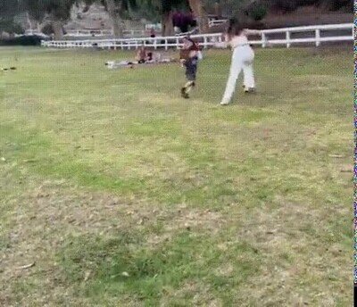 Enlace a ¿Eso es roja no?