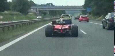 Enlace a ¿Qué harías si te lo encuentras en la carretera?