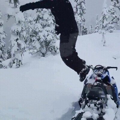 Enlace a No ha salido como esperaba