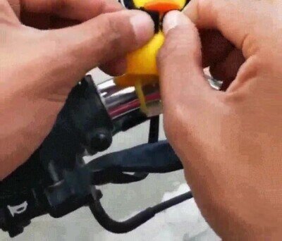 Enlace a Es adorable como le pone el casco para protegerlo