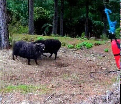 Enlace a Practicando para la velada del año que viene
