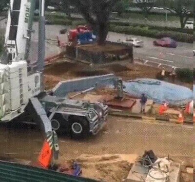 Enlace a Han tenido la genial idea de transplantar un árbol centenario