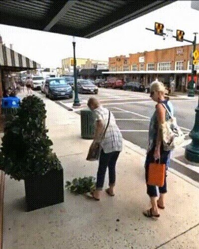 Enlace a Vaya susto se han llevado los pobres