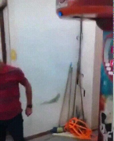 Enlace a El más fuerte del barrio