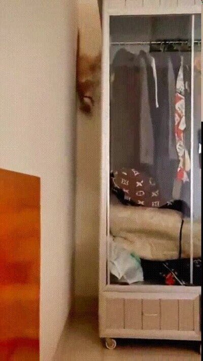 Enlace a Ves humano, no es tan difícil