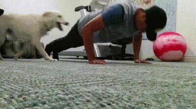 Enlace a Juega conmigo por favor