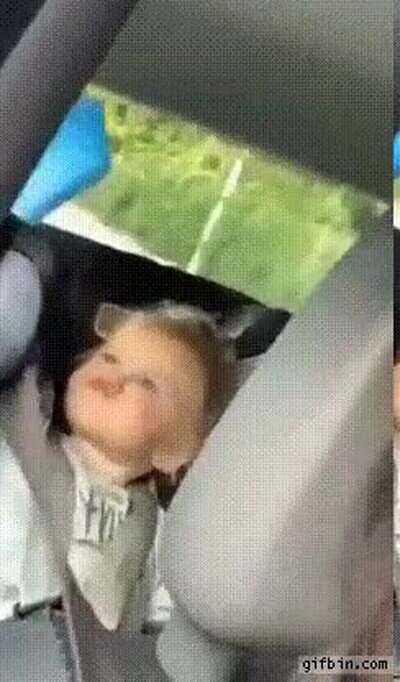 Enlace a Lo he pillado haciéndose una selfie
