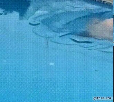 Enlace a Cruzando a través de una piscina helada