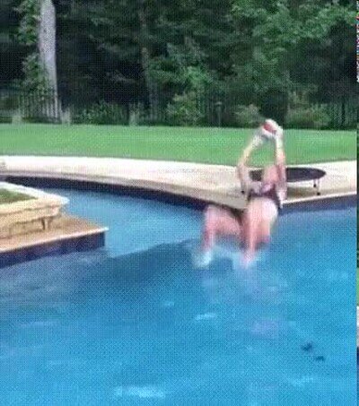 Enlace a El trabajo en equipo es lo más importante