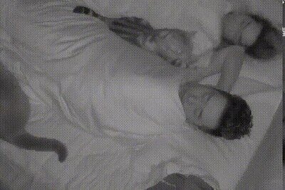 Enlace a Lo que conlleva dormir con gatos en casa