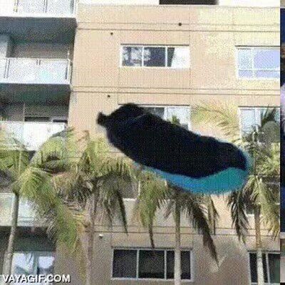 Enlace a Así eran los vine hace 8 años