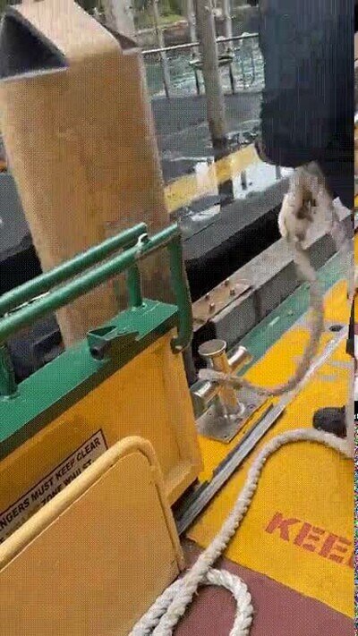 Enlace a Ha tenido que amarrar muchos barcos para hacerlo con esta soltura