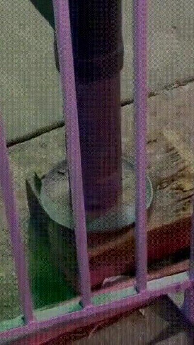 atracción,noria,inseguridad,feria