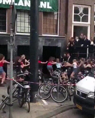 Enlace a Qué puede haber ahí dentro para que se desate tremenda locura