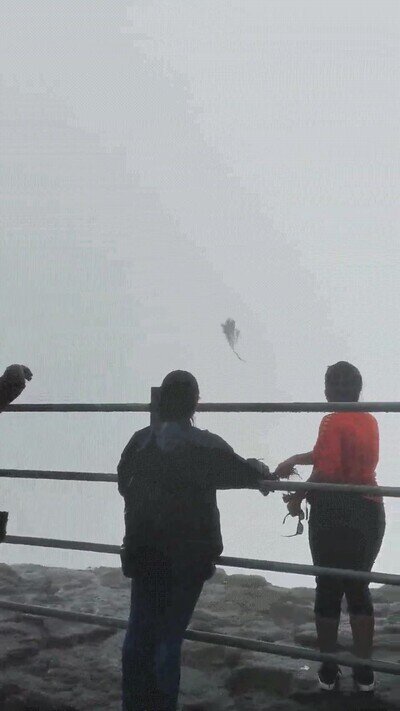 Enlace a Lo que el viento se llevó. O no