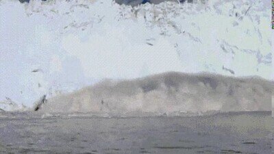 Enlace a Muy tranquila veo a la foca