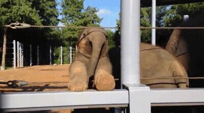 Enlace a Yo intentando ligar con la camarera