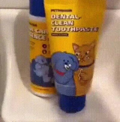 Enlace a Lo más adorable que verás en todo el día