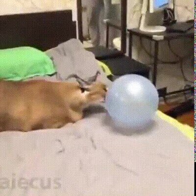 Enlace a Reconoce que no te lo esperabas