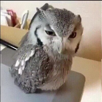 Enlace a Así me siento todos los lunes