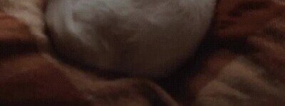 Enlace a No me puedo imaginar nada más relajante que una escena así